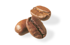 coffee-bean-02