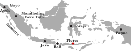 map-flores