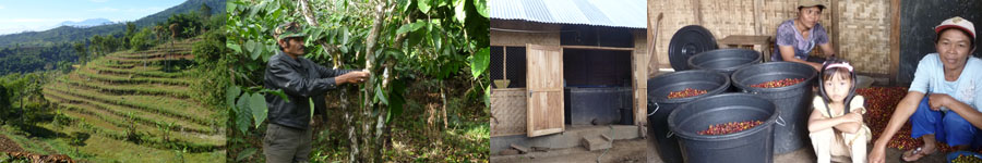 photo-java